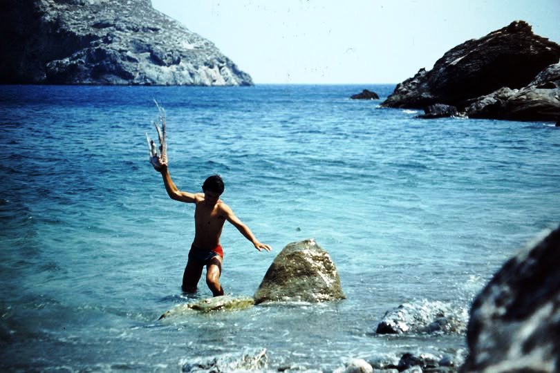 Το χταπόδι