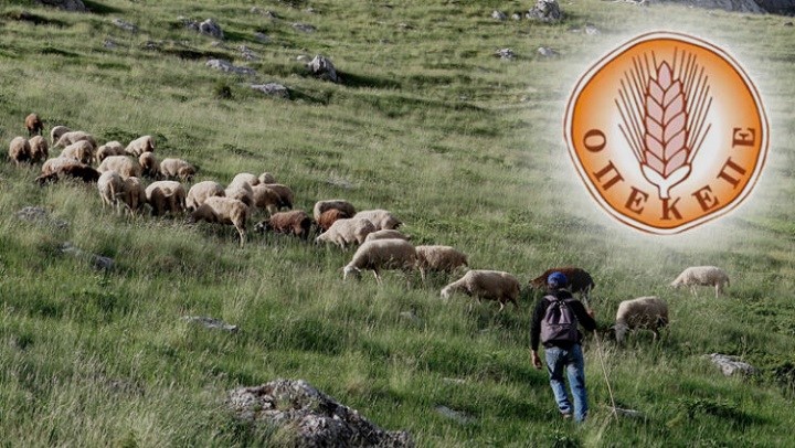Το σκάνδαλο του ΟΠΕΚΕΠΕ έχει βαθιά τις ρίζες του στην πολιτική της ΕΕ και στην ΚΑΠ (Κοινή Αγροτική Πολιτική)