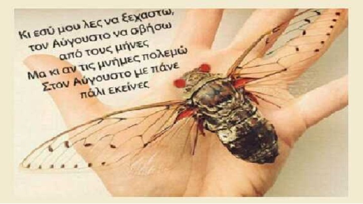 Τζιτζίκια: Τι ξέρετε εσείς από Αύγουστο;