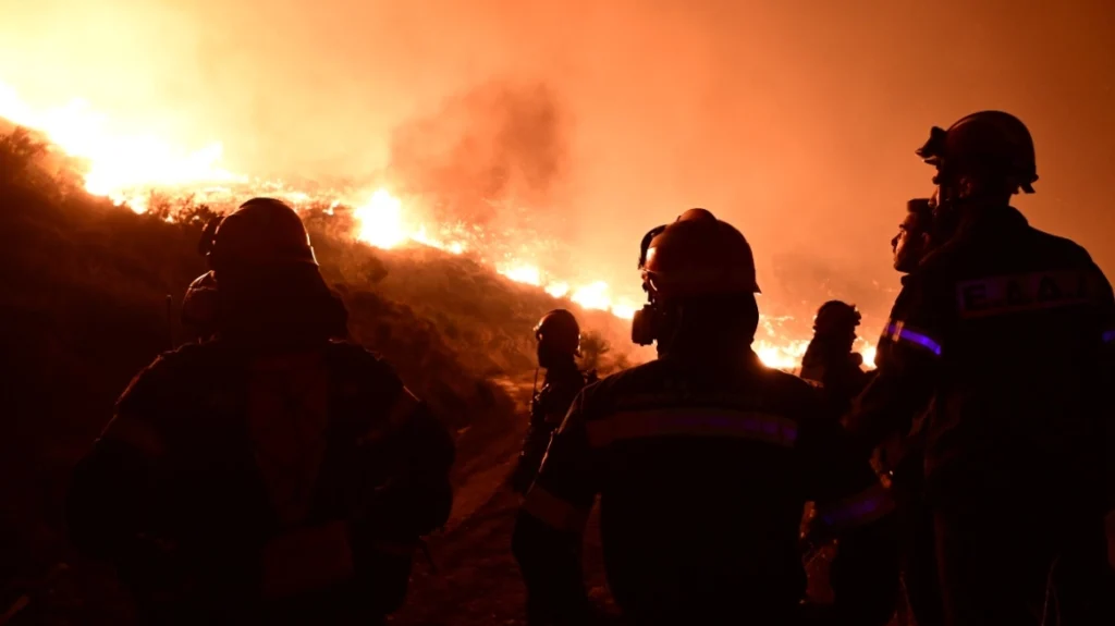Ο δασικός πλούτος της χώρας σε πλήρη εγκατάλειψη, διαχρονικά