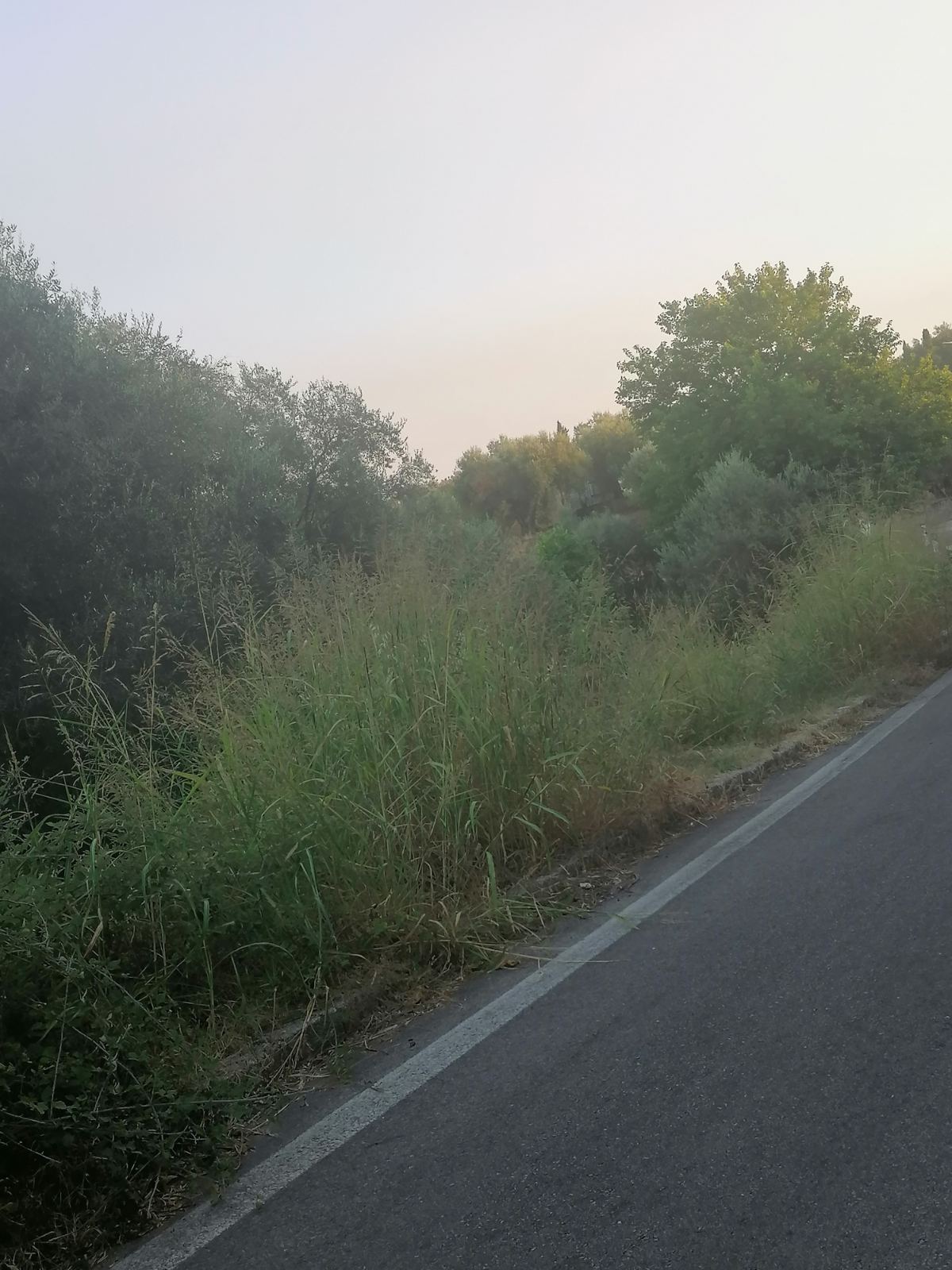 viber image 2025 08 25 12 21 36 050